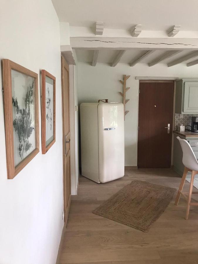 Ambiance Seine - Appartement 46M2 Terrasse - Hortensia Thomery Exterior foto